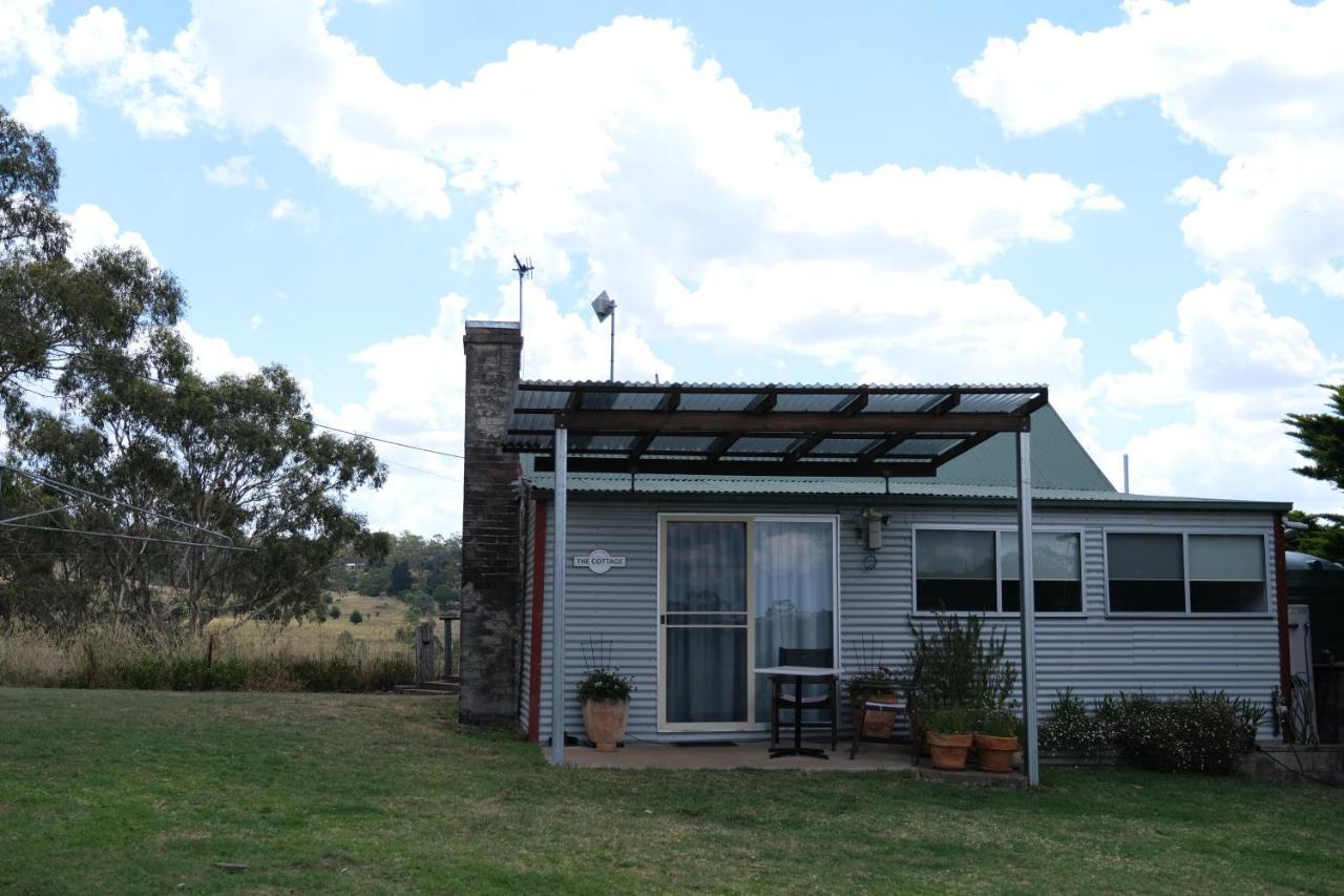 Twodogfolly Apartment Armidale Exterior photo